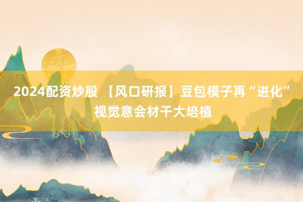 2024配资炒股 【风口研报】豆包模子再“进化” 视觉意会材干大培植