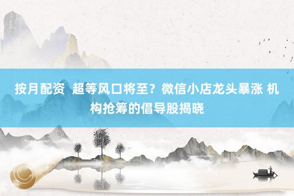 按月配资  超等风口将至？微信小店龙头暴涨 机构抢筹的倡导股揭晓