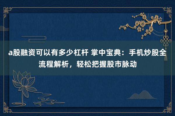 a股融资可以有多少杠杆 掌中宝典：手机炒股全流程解析，轻松把握股市脉动