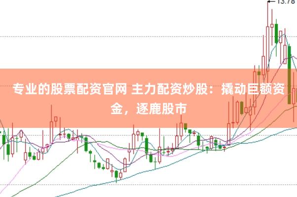 专业的股票配资官网 主力配资炒股：撬动巨额资金，逐鹿股市