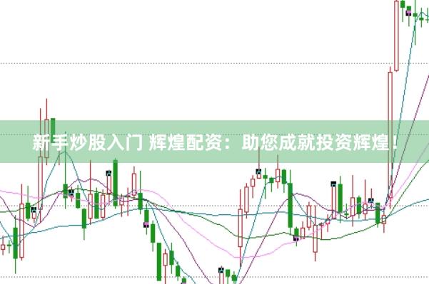 新手炒股入门 辉煌配资：助您成就投资辉煌！
