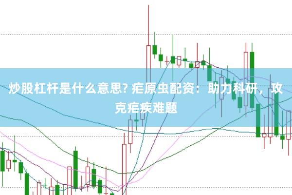 炒股杠杆是什么意思? 疟原虫配资：助力科研，攻克疟疾难题