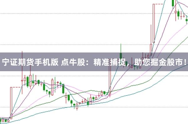 宁证期货手机版 点牛股：精准捕捉，助您掘金股市！