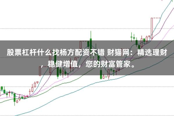 股票杠杆什么找杨方配资不错 财猫网：精选理财，稳健增值，您的财富管家。