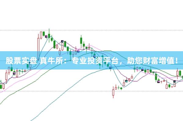 股票实盘 真牛所：专业投资平台，助您财富增值！