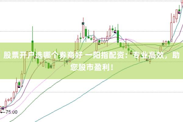 股票开户选哪个券商好 一阳指配资：专业高效，助您股市盈利！