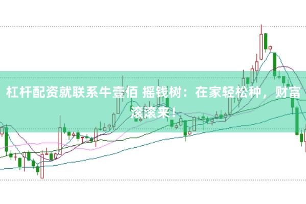 杠杆配资就联系牛壹佰 摇钱树：在家轻松种，财富滚滚来！
