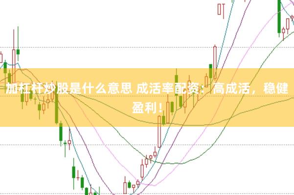 加杠杆炒股是什么意思 成活率配资：高成活，稳健盈利！