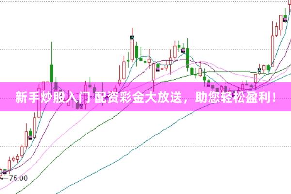 新手炒股入门 配资彩金大放送，助您轻松盈利！