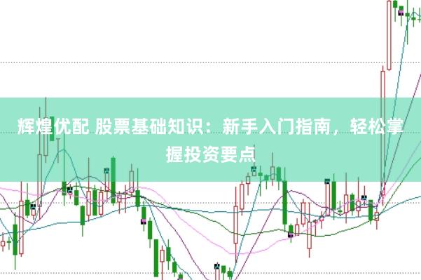 辉煌优配 股票基础知识：新手入门指南，轻松掌握投资要点