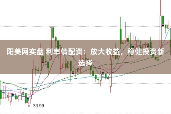 阳美网实盘 利率债配资：放大收益，稳健投资新选择