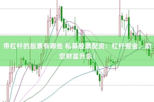 带杠杆的股票有哪些 私募股票配资：杠杆掘金，助您财富升级！