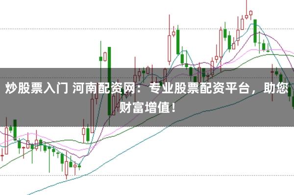 炒股票入门 河南配资网:专业股票配资平台,助您财富增值!