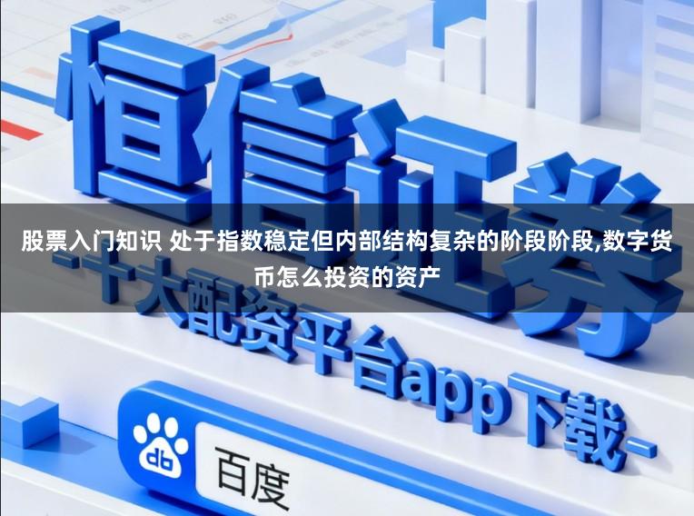 股票入门知识 处于指数稳定但内部结构复杂的阶段阶段，数字货币怎么投资的资产